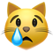 crying-cat